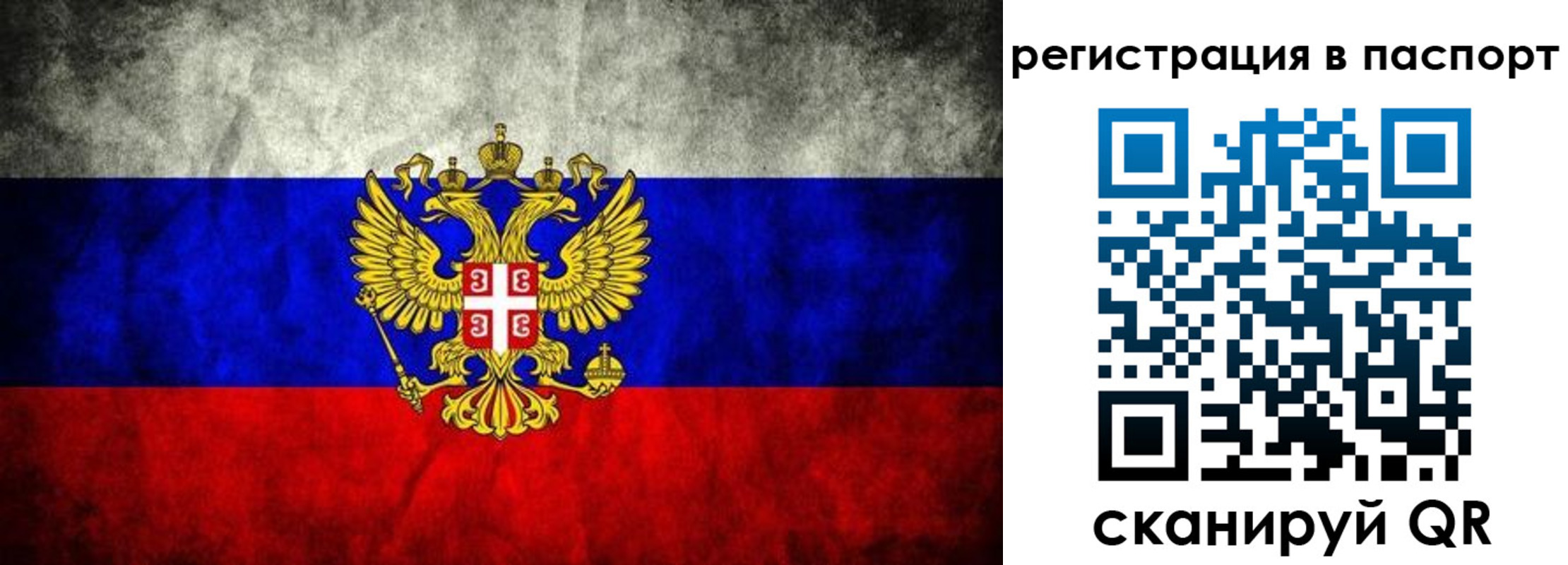 временная регистрация купить в Менделеевске